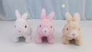Interactive Toy Can Walk And Talk Electric Rabbit Toy